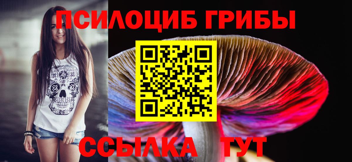 Псилоцибиновые грибы мицелий  Псилоцибиновые грибы Psilocybine cubensis  Вход с VPN  Прокопьевск 